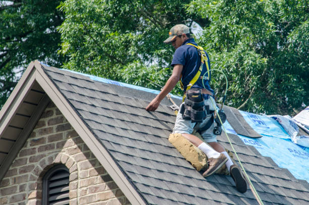 Best Roof Replacement Cost  in Rushville, NE